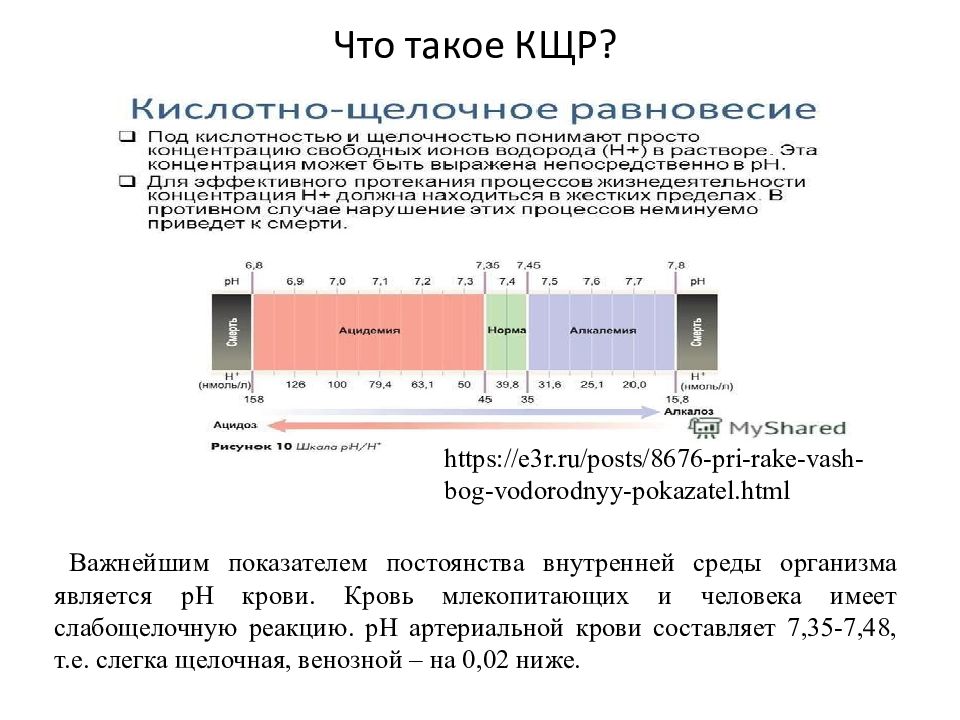 Нарушение кислотно щелочного баланса презентация