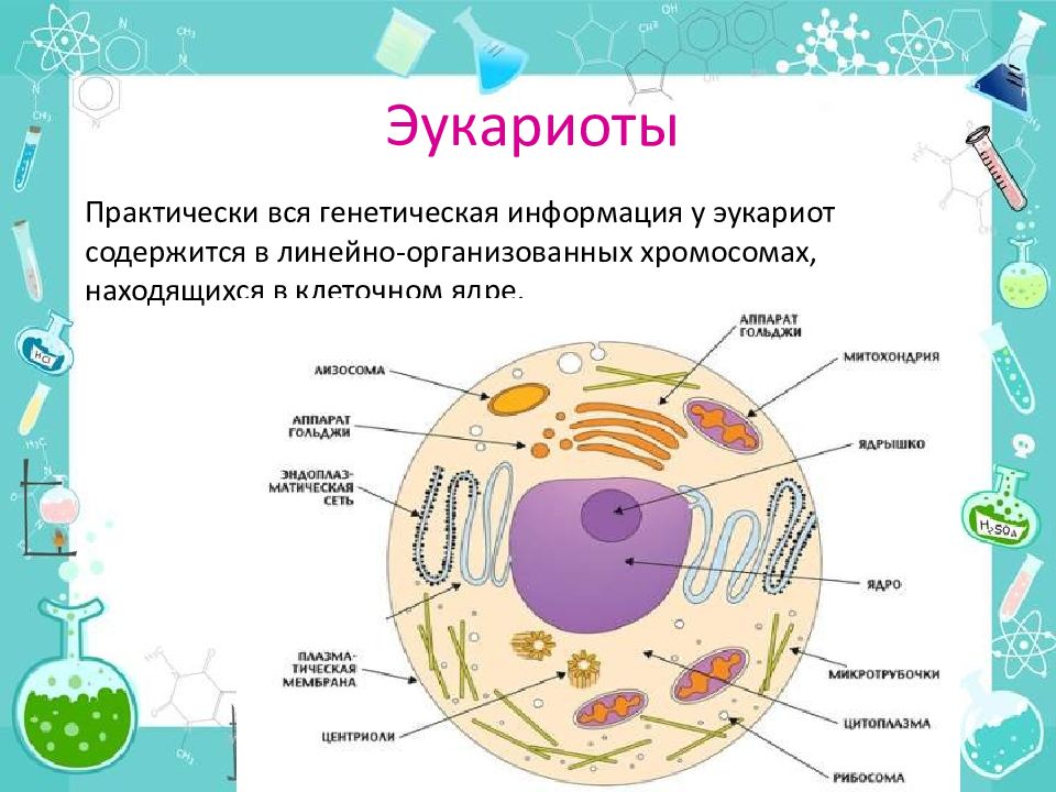 Современное представление о гене схема