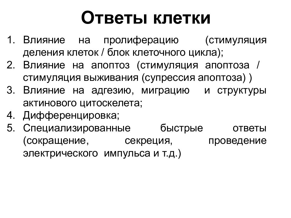 Влияние на цикл. Цитоскелет. Факторы стимулирующие деление клеток. Пролиферация межклеточные контакты. Стимуляция деления клеток.