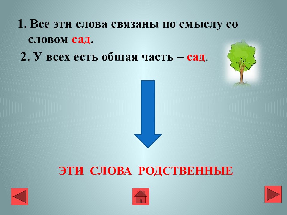 Слова со словом сад. Родственные слова сад. Слова связаны по смыслу. Формы слова сад. Родственные слова к слову сад.