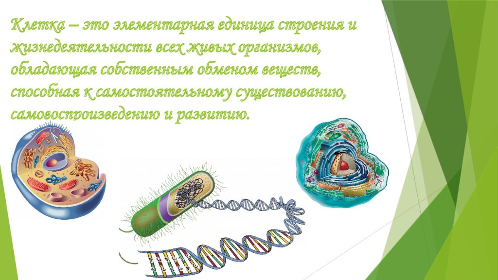 Понятие об организме