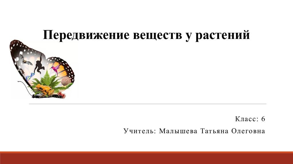 Тест 6 бактерии и грибы. Выделение у растений 6 класс. Выделение у растений.