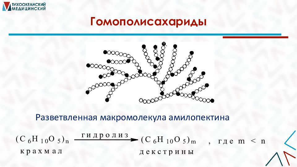 Полисахарид 7 букв