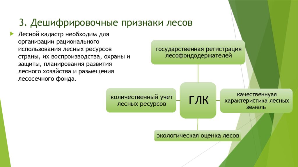 3. Дешифрировочные признаки лесов