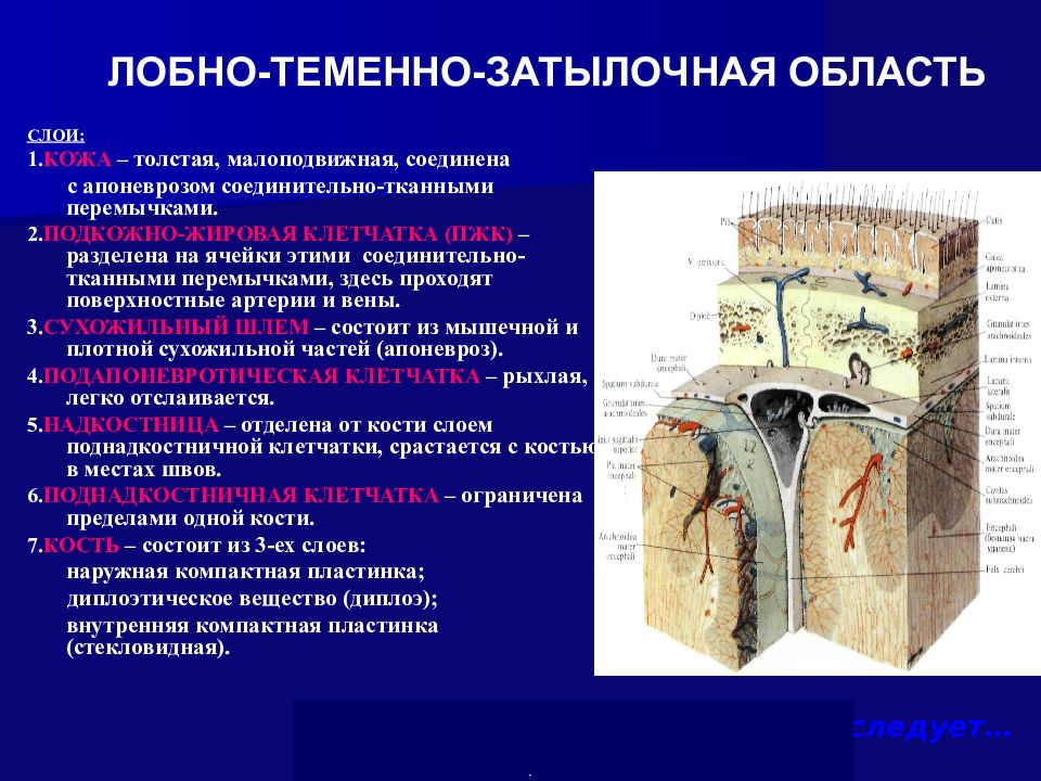 Представление отдела презентация