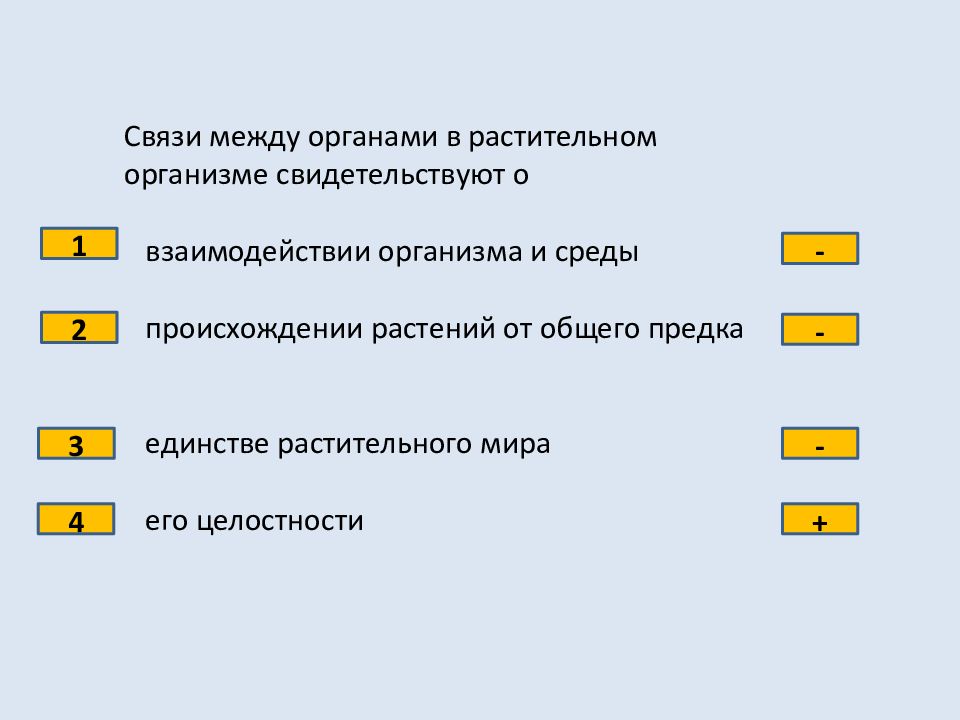 Проверочная работа по теме органы растений. Связь между органами. Тесты по теме растительный организм 6 класс. Связь органов растительного организма. Контрольная работа по теме органы цветковых растений.