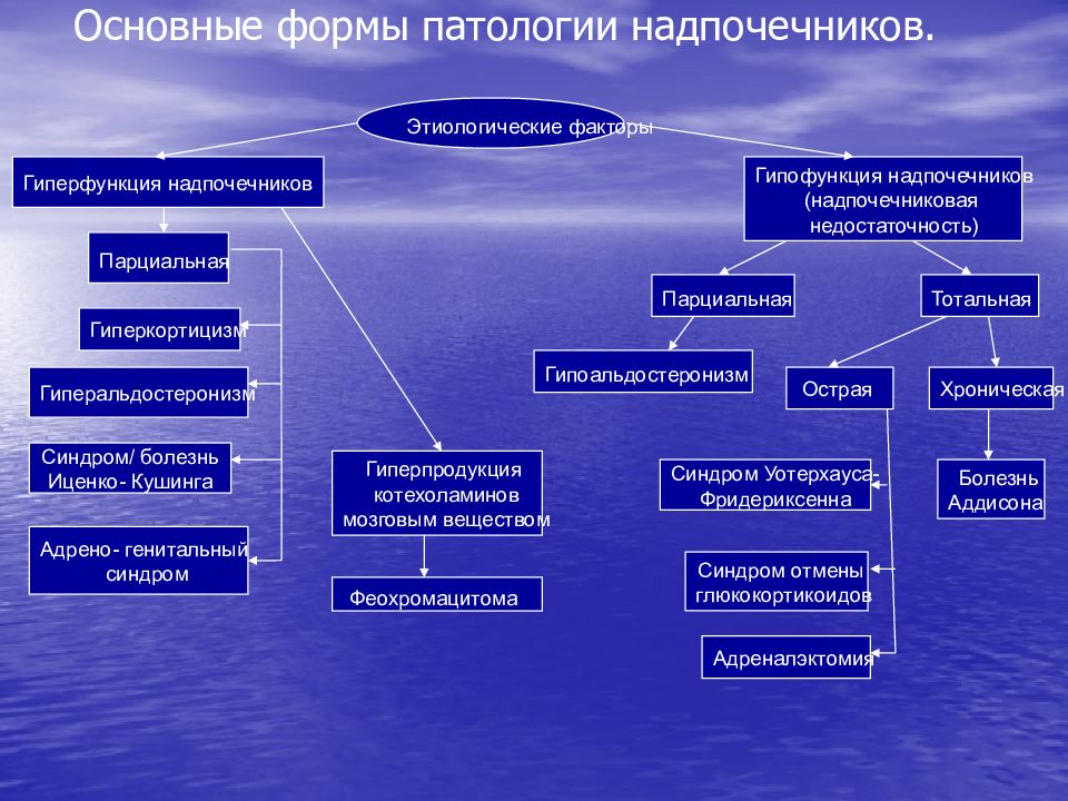 Факторы патологии. Гиперфункция надпочечников патогенез. Механизм развития гиперфункции надпочечников. Этиология гиперфункции надпочечников. Типовые формы патологии надпочечников.