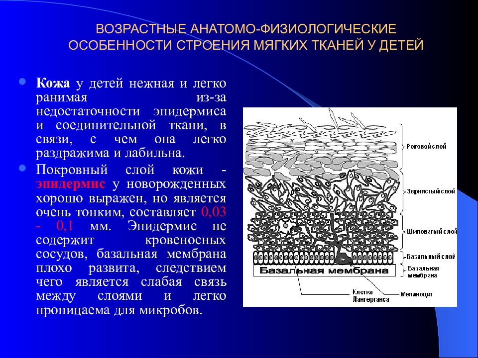 Афо кожи у детей презентация