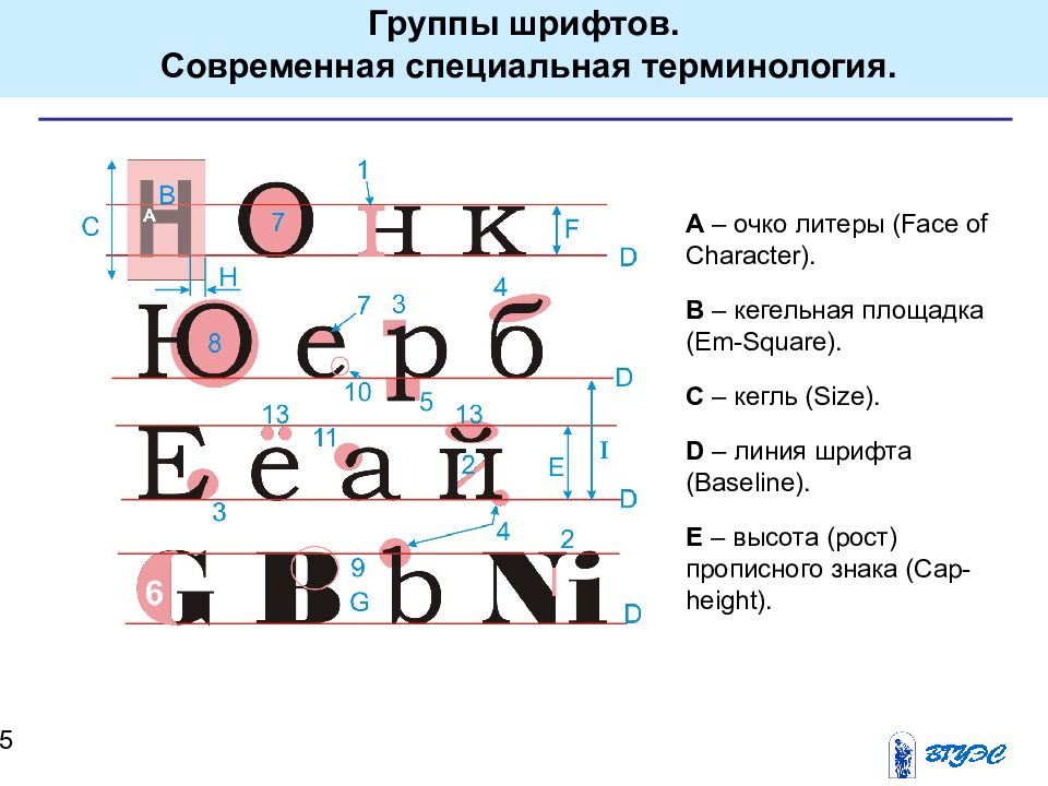 Очко буквы. Основные группы шрифтов. Терминология шрифта. Строение шрифта. Параметры шрифта термины.