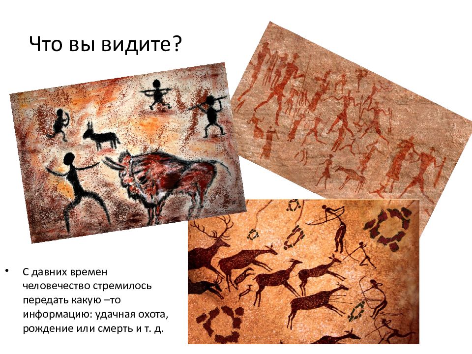 Что вы видите?