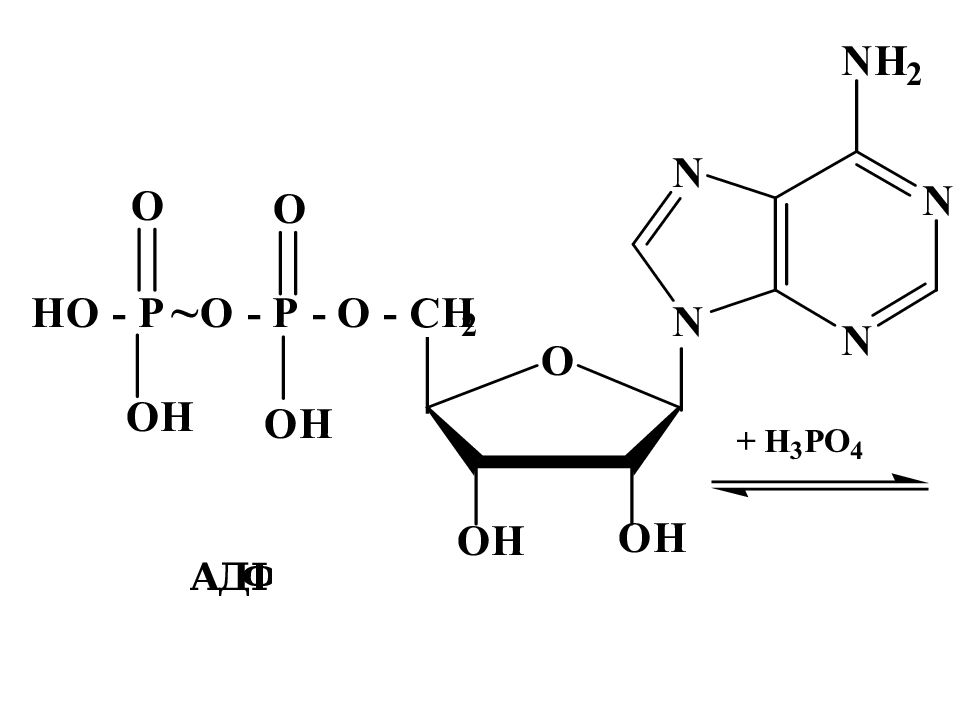 Нуклеиновые кислоты витамины. Схема гидролиза нуклеиновых кислот. Схема реакции Настюкова. Структура нуклеиновых кислот. Качественные реакции на нуклеиновые кислоты.