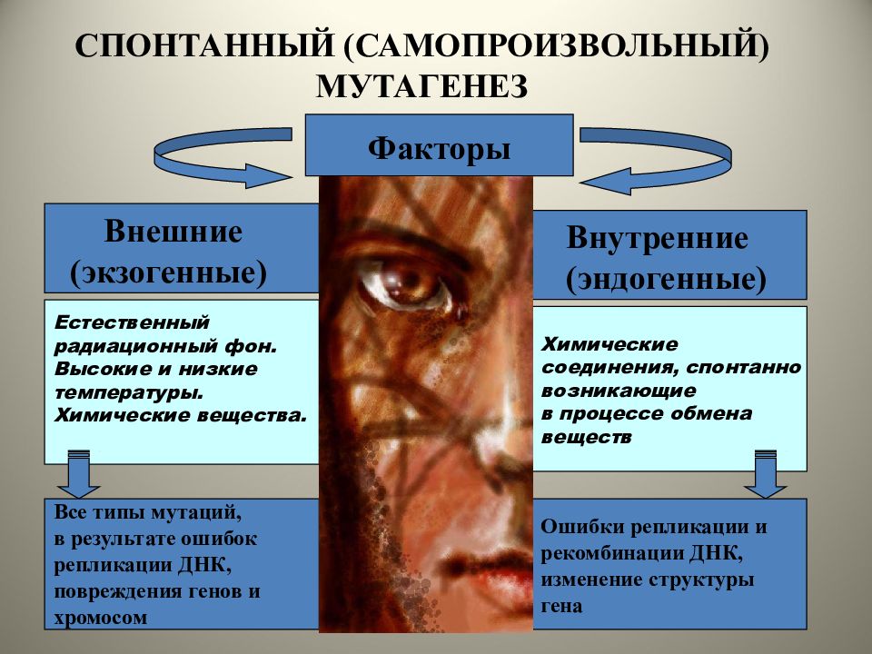 Радиационный мутагенез презентация