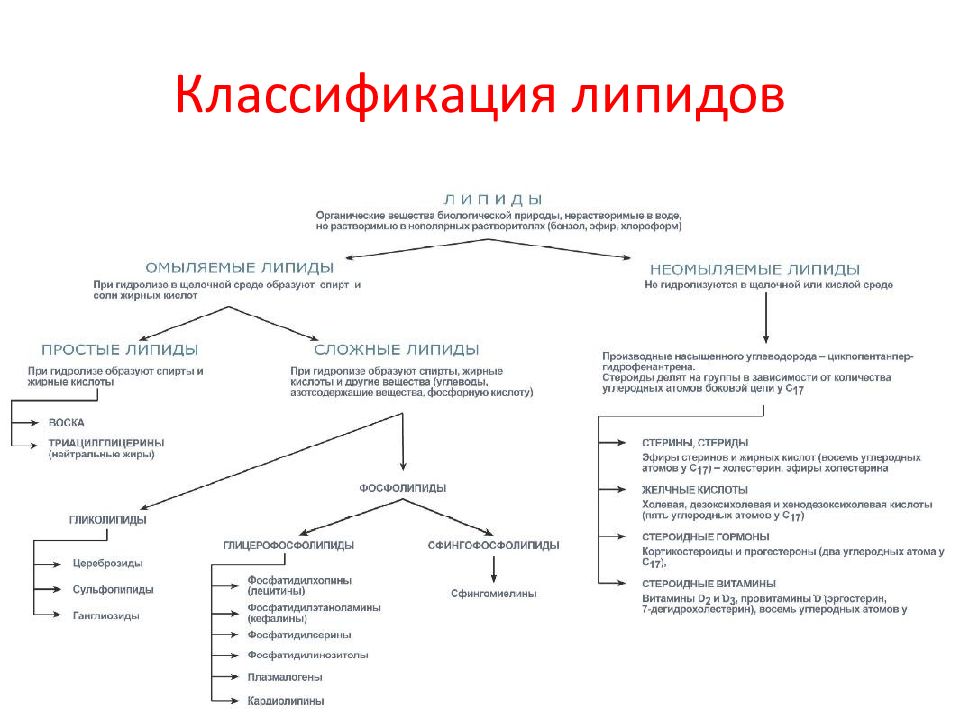 Липиды биохимия презентация