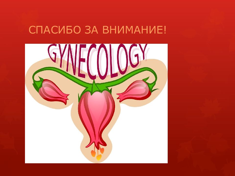 Менструальный цикл СПАСИБО ЗА ВНИМАНИЕ!