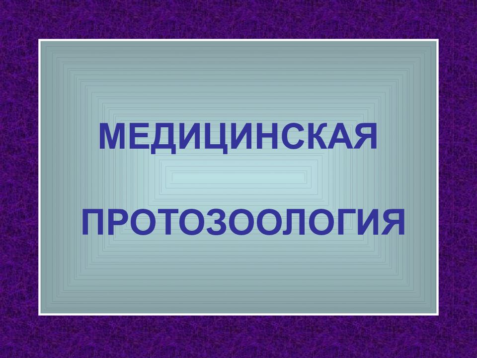 Медицинская протозоология презентация