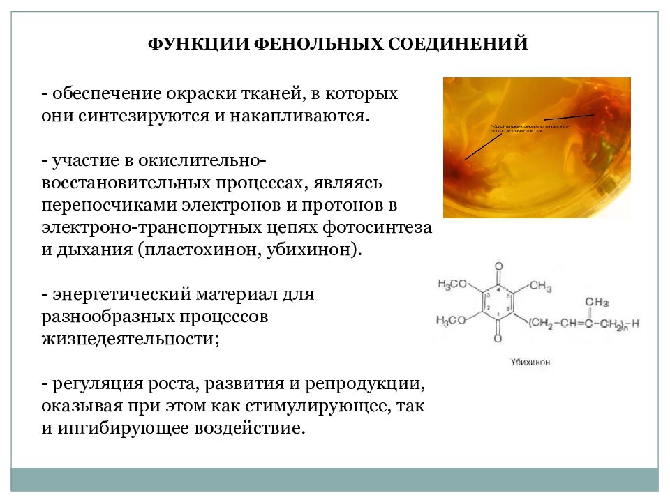 Определение фенольных соединений. Классификация фенольных соединений. фенольные соединения. фенольные соединения в растениях классификация. общая характеристика фенольных соединений.
