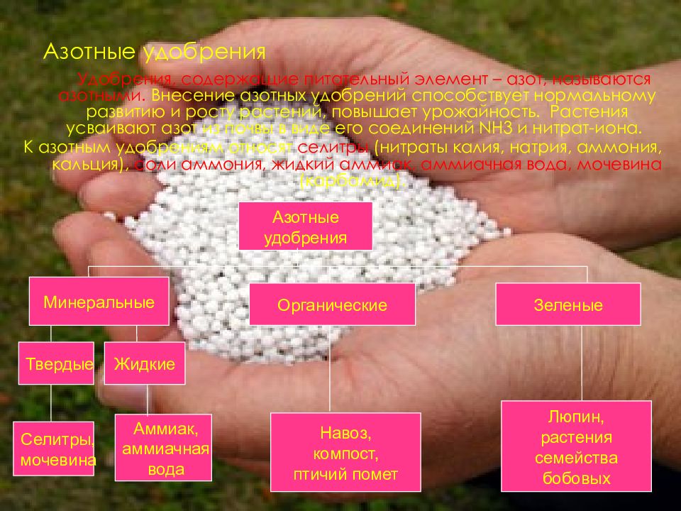 Что относится к азотным удобрениям. Азотные удобрения. Азотные Минеральные удобрения. Форма азота в Минеральных удобрениях. Производство азотных удобрений.