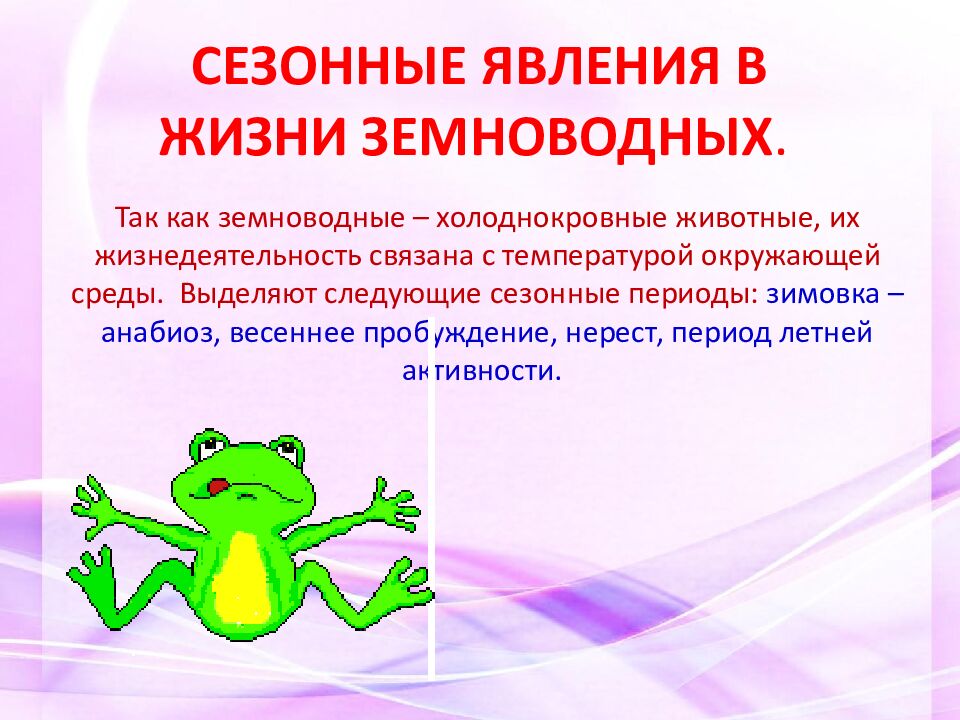 СЕЗОННЫЕ ЯВЛЕНИЯ В ЖИЗНИ ЗЕМНОВОДНЫХ.
