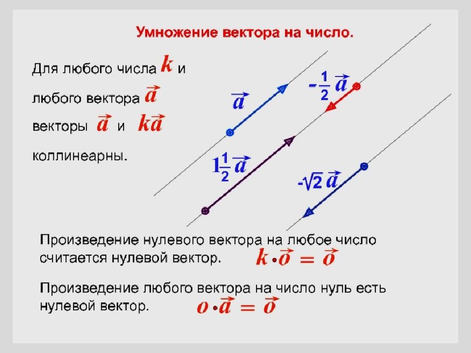 Умножение вектора на число 10 класс атанасян. Умножение вектора на вектор. Умножение вектора на число. Базис векторов. Правила умножения векторов.