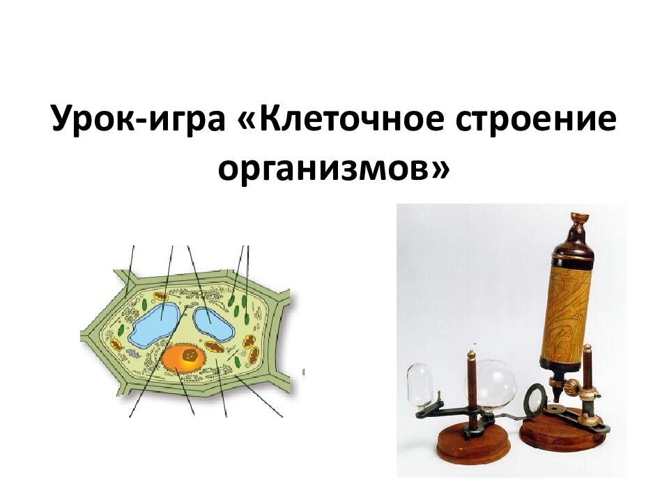 Урок-игра «Клеточное строение организмов»