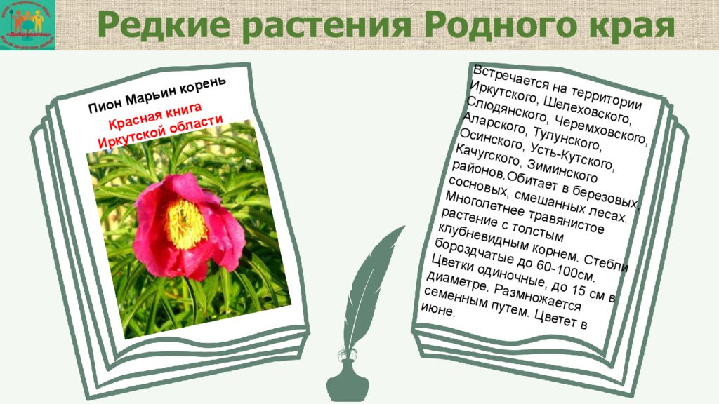 Родные растения. Растения родного края. Растения родного края Иркутская область. Редкие растения Ингушетии. Проект о редких растениях Иркутской области.