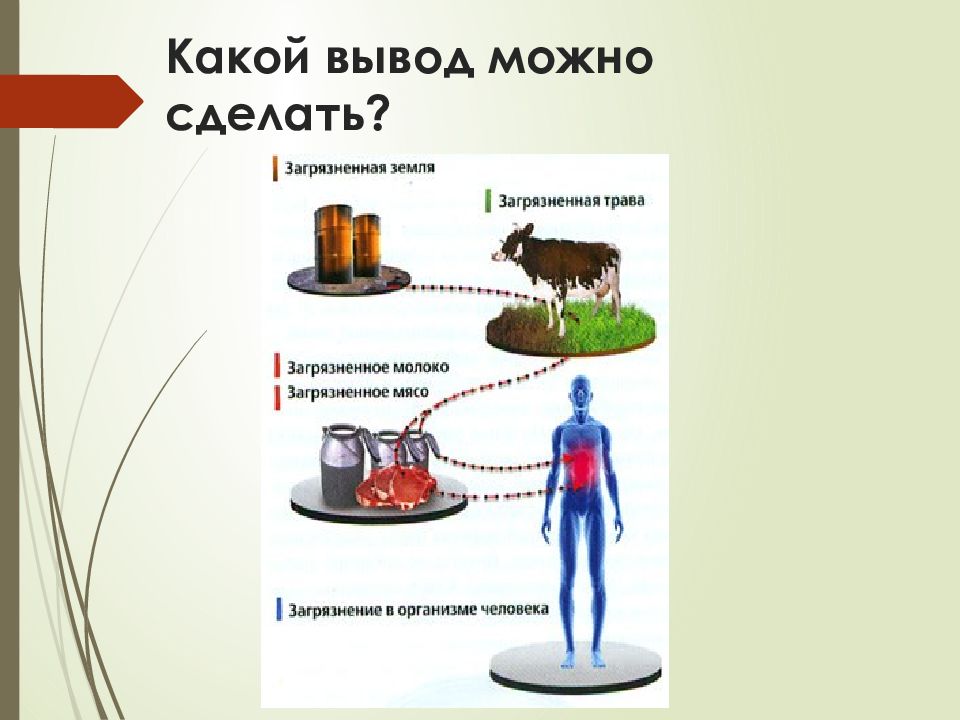 Влияние загрязнений на живые организмы презентация 11 класс