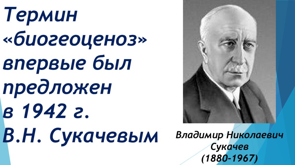 Предложен термин. Владимир Николаевич Сукачев (1880-1967). Биогеоценоз Сукачев Владимир Николаевич. Владимир Николаевич Сукачев 1942. Термин биогеоценоз.