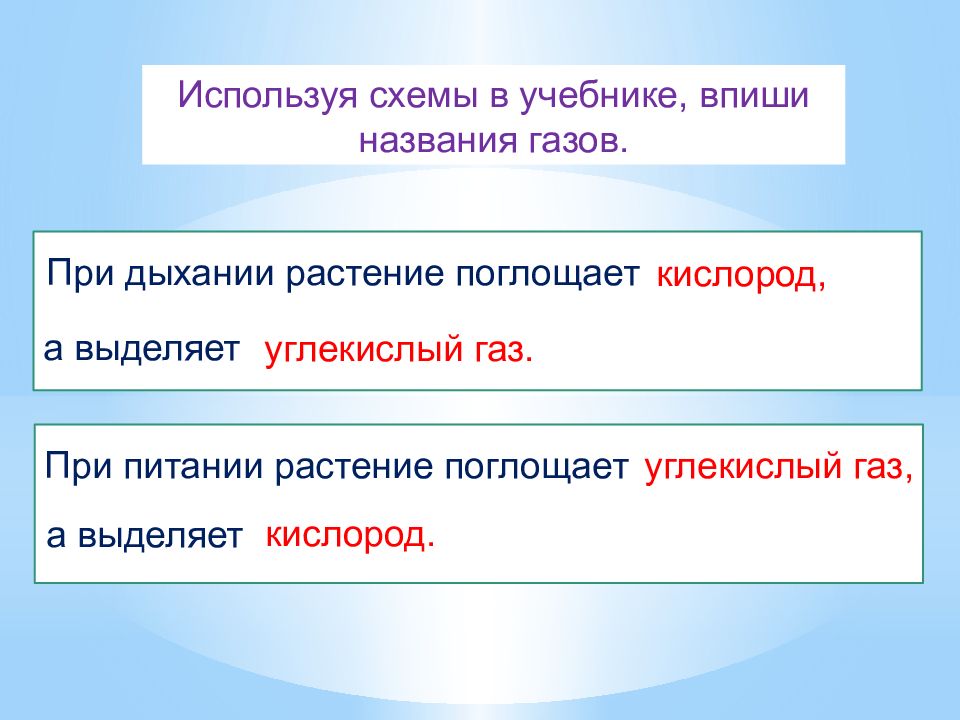 Окружающее выделить. При питании растение поглощает. При дыхании растение поглощает. При пииании растения поглощает. Пипитаниирастение поглощает.