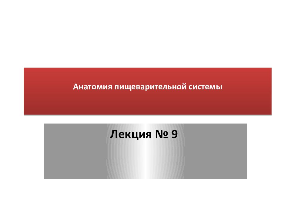 Анатомия пищеварительной системы