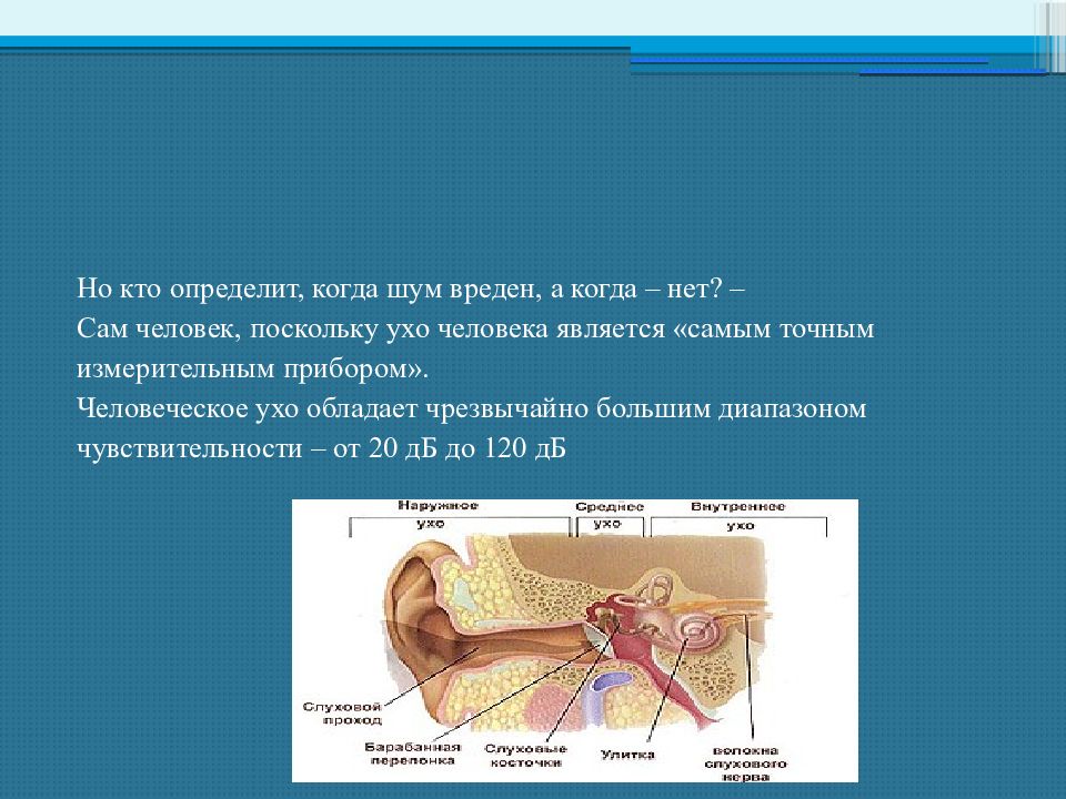 Шум организм человека. Влияние шума на организм человека проект. Шум для презентации. Воздействие шума на ухо человека. Шум вреден для здоровья.