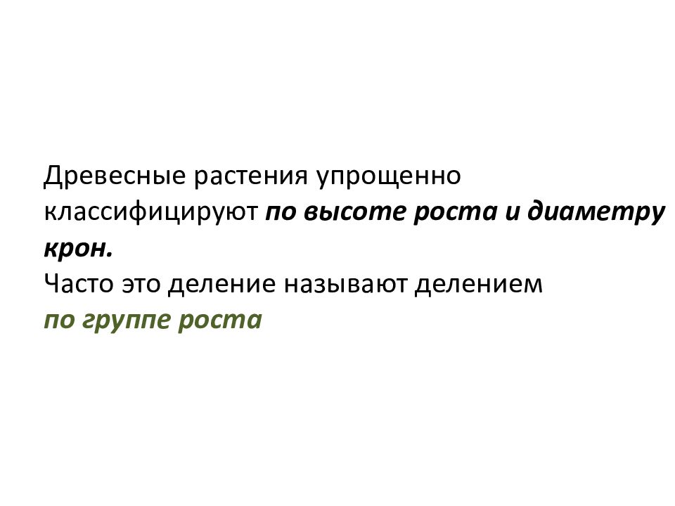 Древесные растения характеристика. Деревянистые растения характеристика.