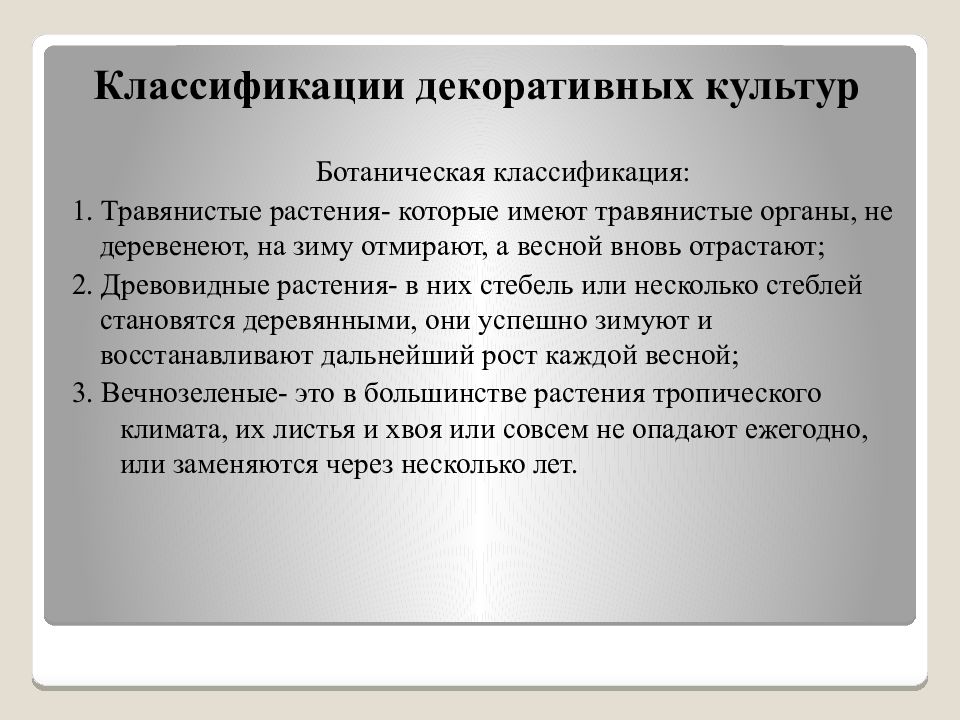 Морфологическая культура
