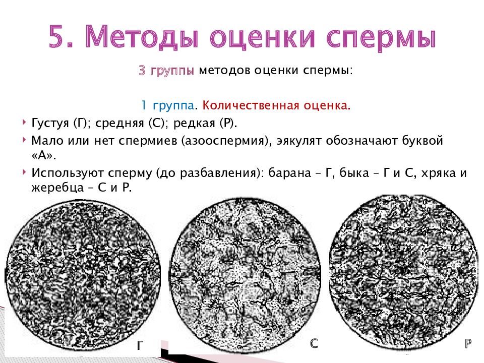 От Чего Зависит Количество Спермы