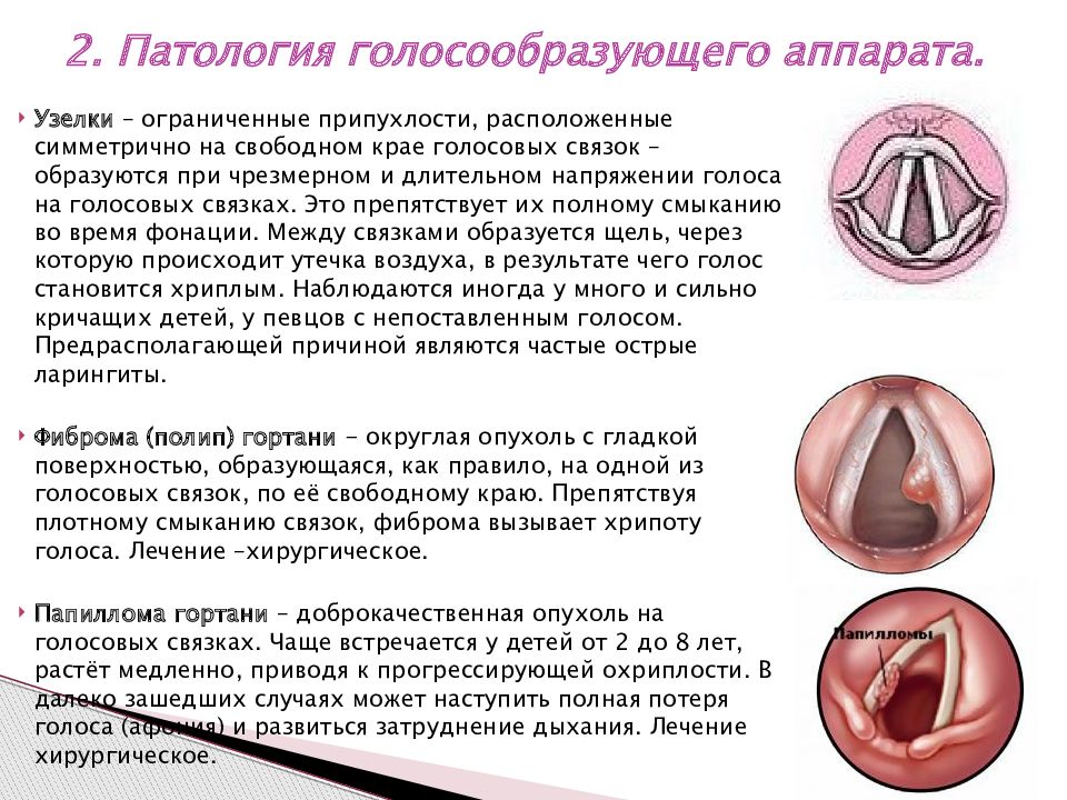 Презентация анатомо физиологические механизмы речи