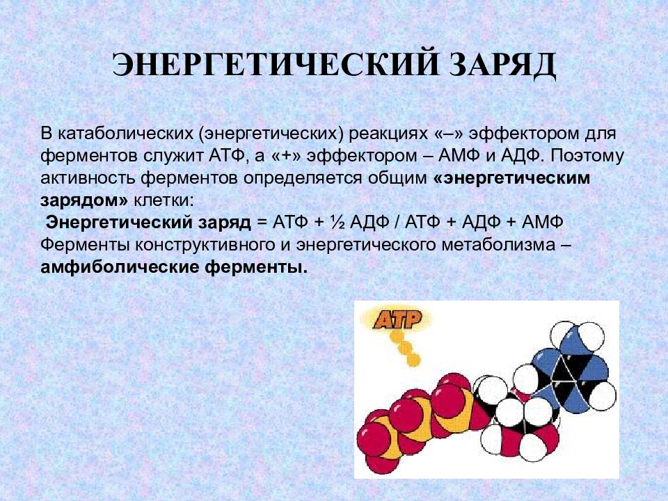 Энергетический заряд. Энергетический заряд клетки. Энергетический заряд клетки биохимия. АТФ заряд. АТФ эффектор ферментов.