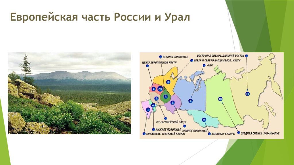 Средняя сибирь это урал. Европейская часть России и Урал. Европейско-Уральская часть. Уральская часть России. Части Урала.