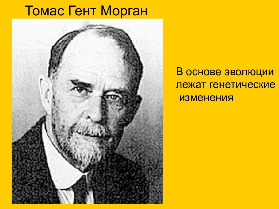 Science thomas. Томас Гент Морган. Томас Гент Морган (1886 — 1945). Томас Морган биология. Томас Гент Морган фото.