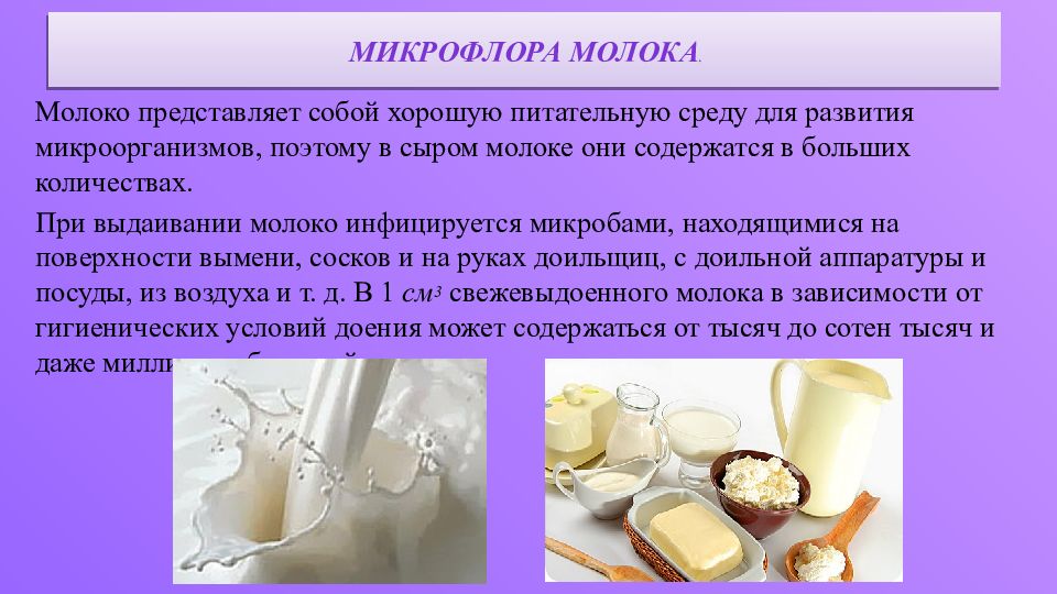 Чем отличается молочная. Микрофлора молока и молочных продуктов. Микрофлора молока и молочных продуктов микробиология. Микрофлора молока и молочнокислых продуктов. Особенности микрофлоры молока.