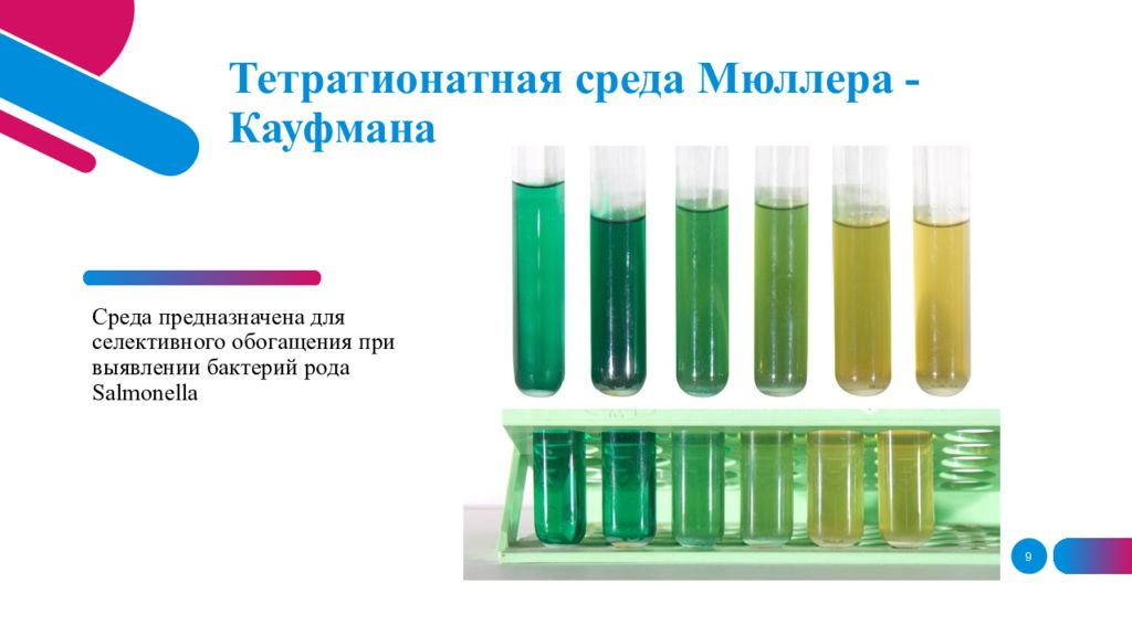 Сальмонеллез презентация микробиология