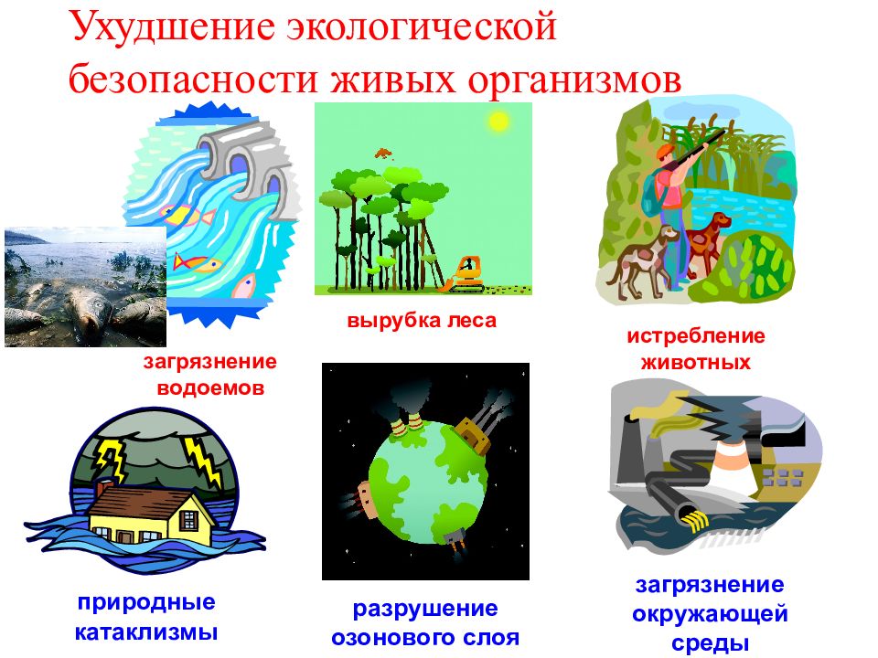 Презентация 3 класс что такое экологическая безопасность 3 класс