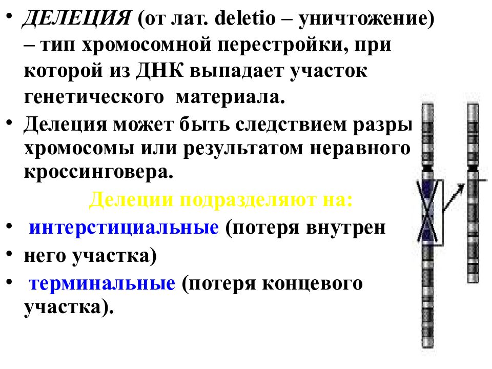 Делеция хромосомы какая мутация. Делеция. Делеция это в генетике. Делеция участка хромосомы. Виды делеции.