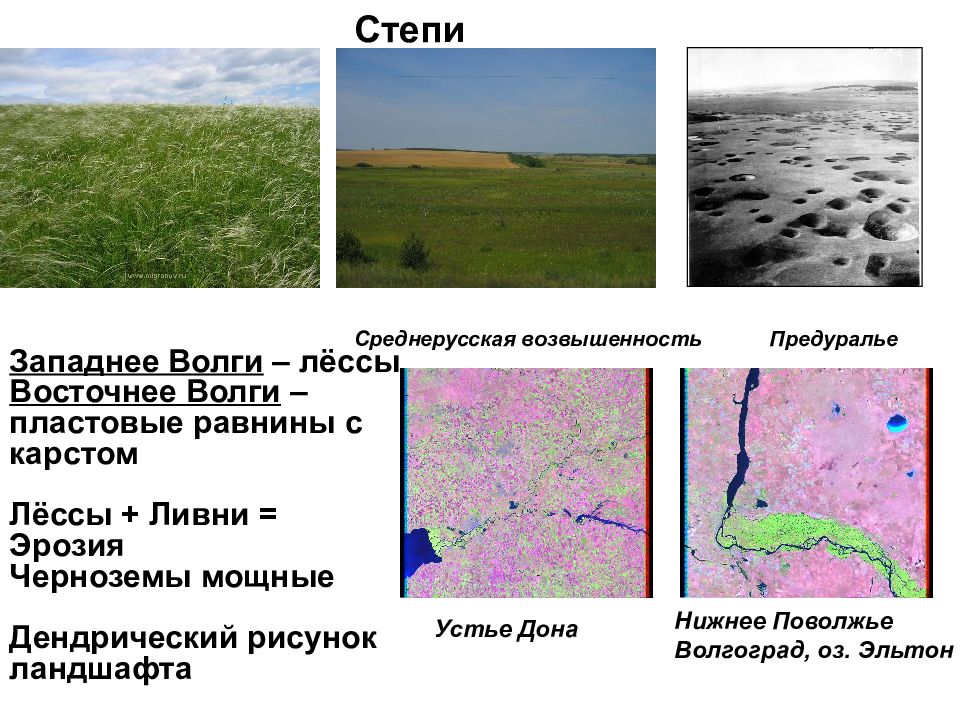 Среднерусская возвышенность презентация