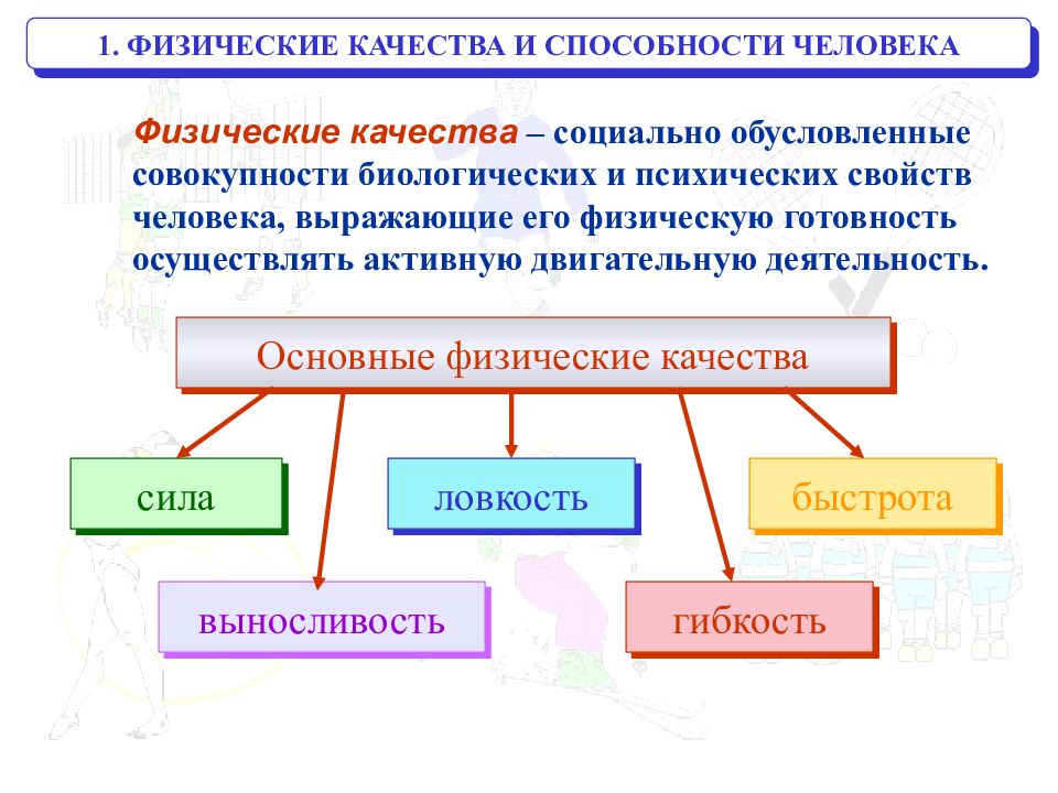 Физические способности силы