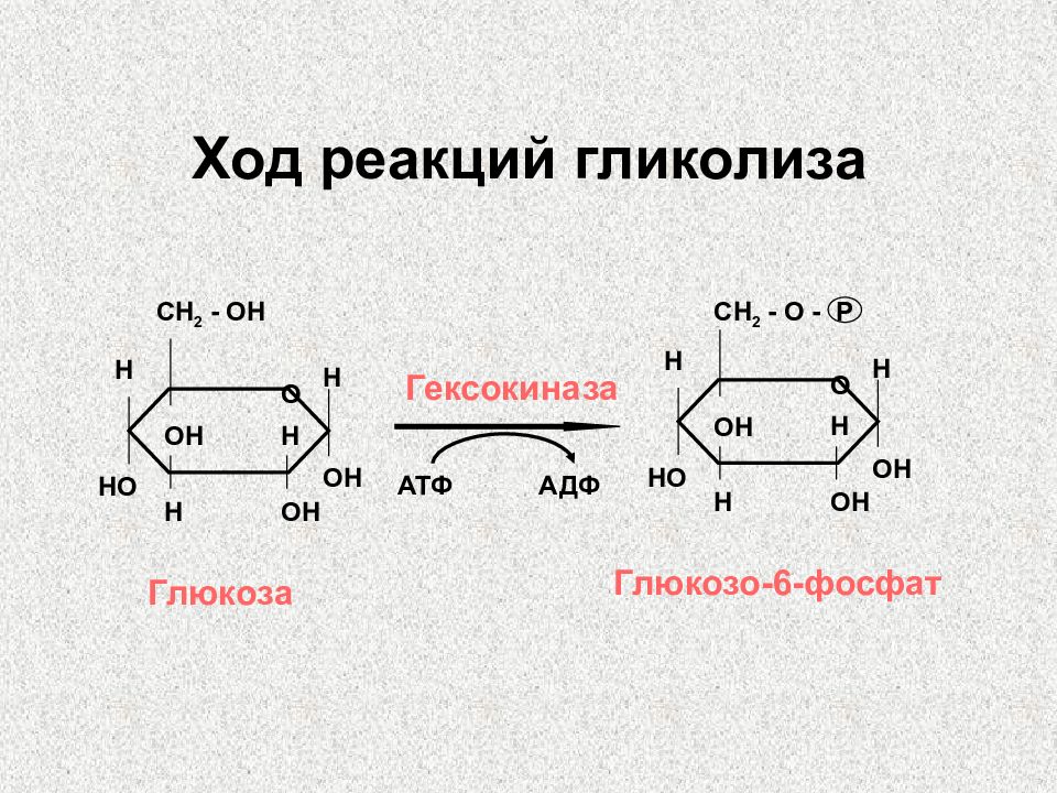 Реакции обмена углеводов. Схема 2 этапа гликолиза. Гликолиз схема реакций. Гликолиз схема с формулами. Гликолиз реакции биохимия.