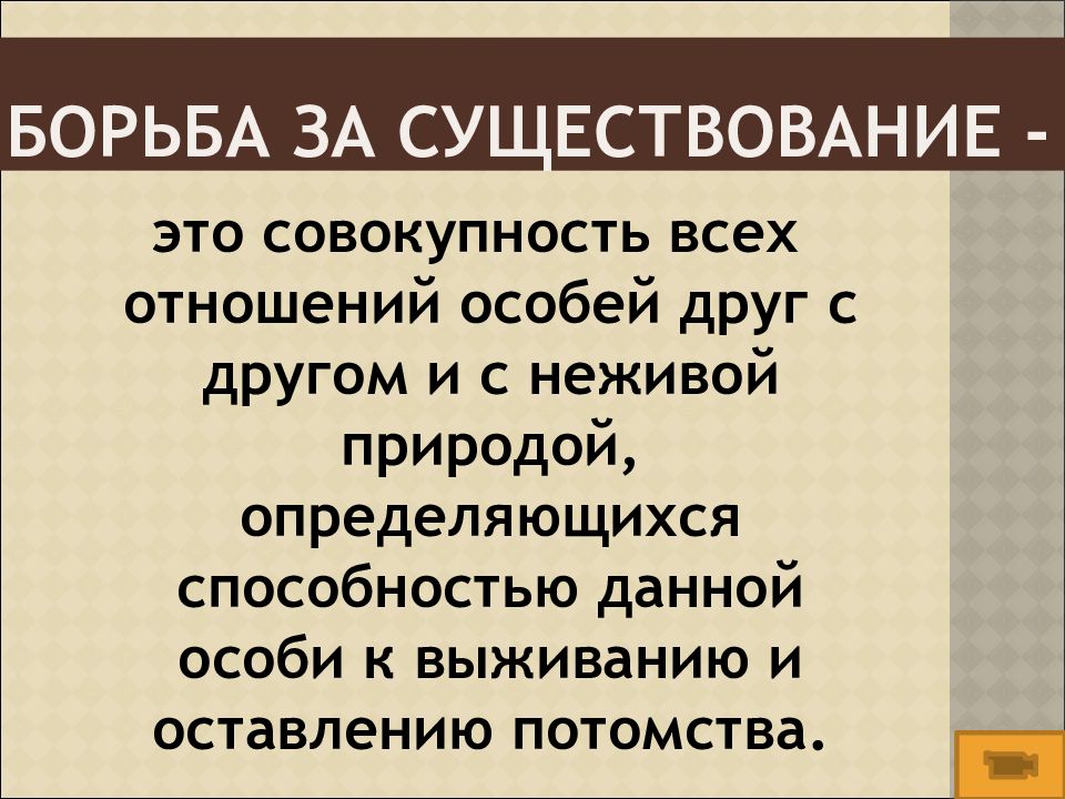 Борьба за существование это. Борьба за существование. Борба за существование. Борьба за существование это совокупность. Существование.