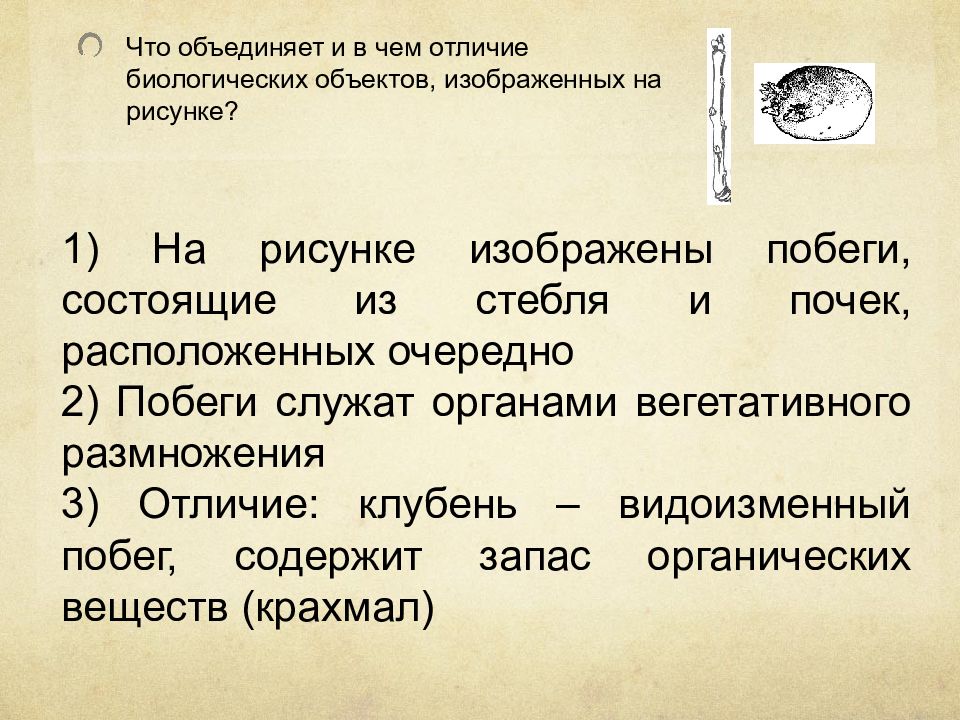 Биологические отличия. Что объединяет и в чем отличие биологических объектов. Что объединяет и в чём отличие биологических объектов изображённых. Объект отмеченные различия биология. Естественная история и биология различия.