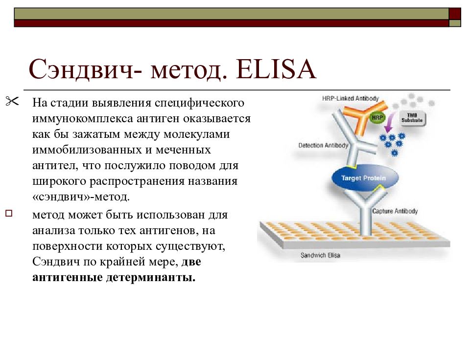 Сэндвич ифа схема