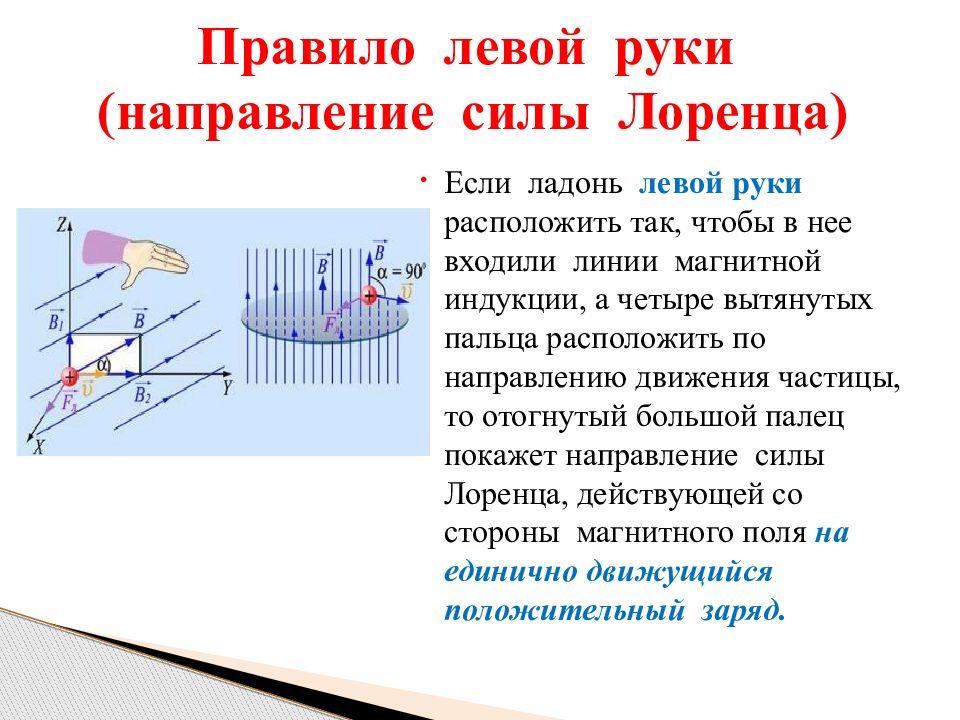 Магнитная индукция частицы. Правило левой руки для определения силы Лоренца.