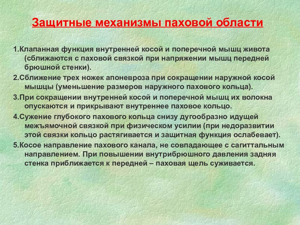 Напряжение мышц передней брюшной стенки характерно для. Защитное напряжение мышц передней брюшной стенки характерно для. Хирургическая анатомия передней брюшной стенки