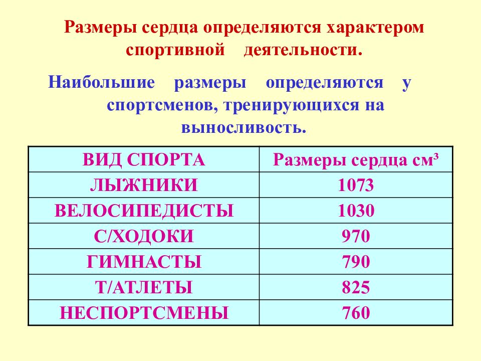 Спортивное сердце презентация